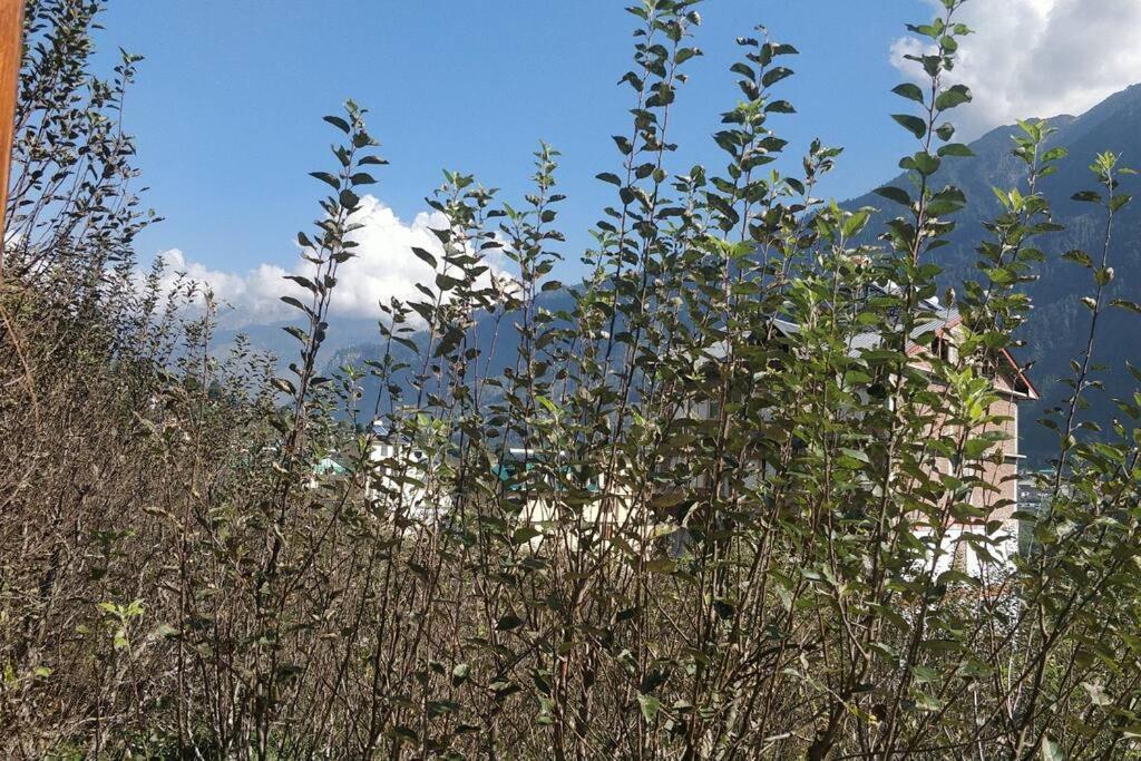 Aroma Taru Villa / Cottage ,Manali Eksteriør bilde