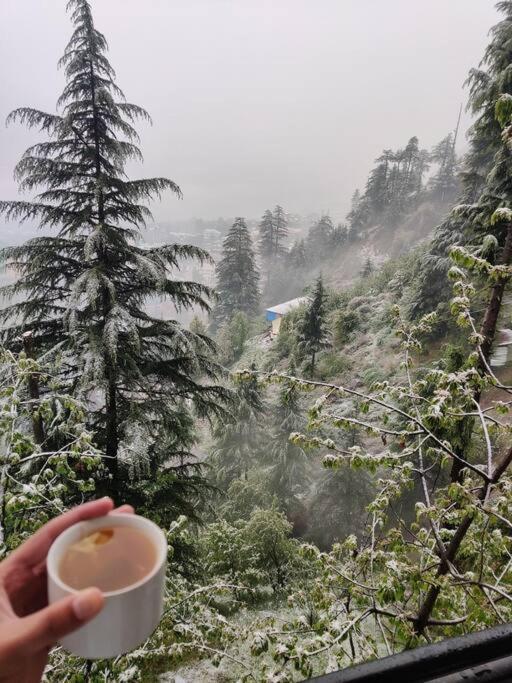 Aroma Taru Villa / Cottage ,Manali Eksteriør bilde